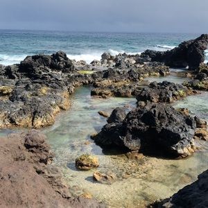 Meet your Posher, Sasha